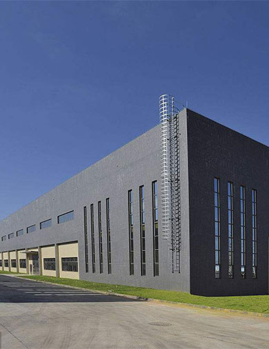 
		WJT-23菌型夾衣機
	(圖10)